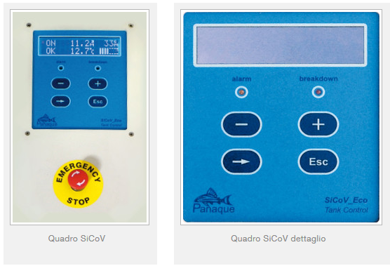 Quadro SiCoV