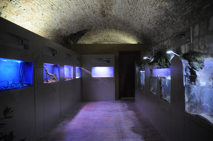 Acquario Bolsena