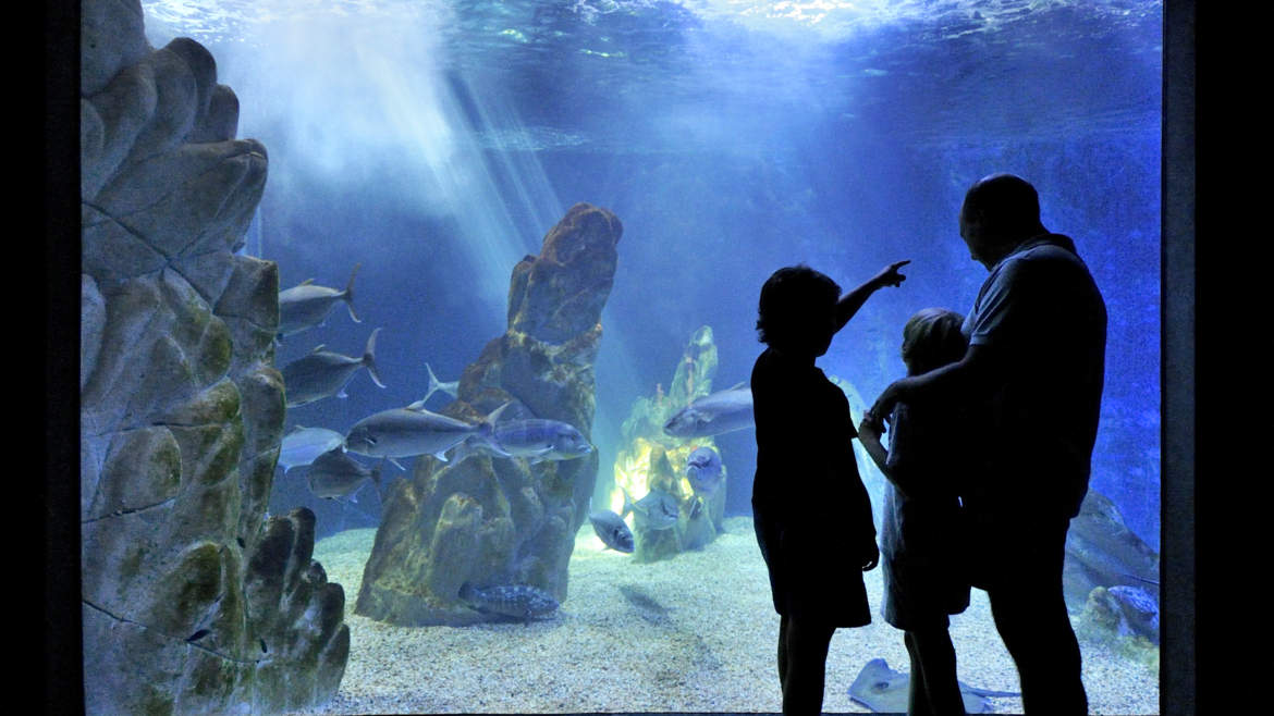 Acquario Cala Gonone