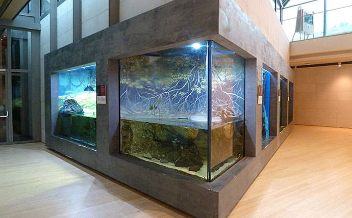Museo di storia naturale “MUSE” – Trento