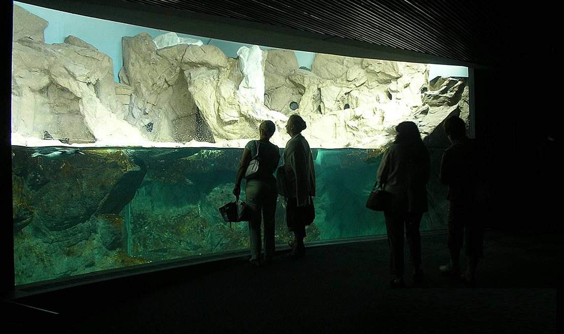 Acquario di Genova