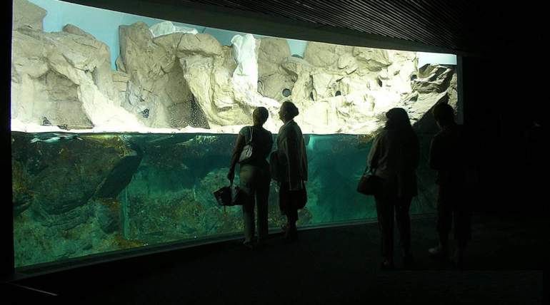 Acquario di Genova