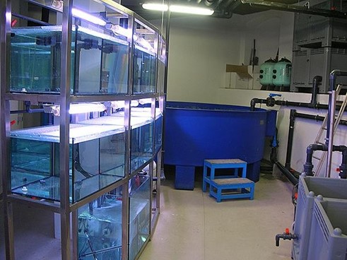 Civico Acquario di Milano