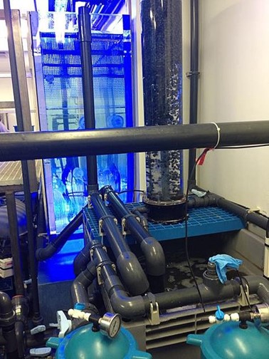 Parc Zoologique et de Loisirs de Thoiry S.A.- Parigi, Francia